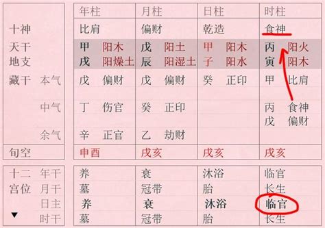 八字 食神|食神代表什么？如何取象？